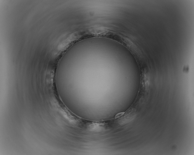 X0000110970664200906191336