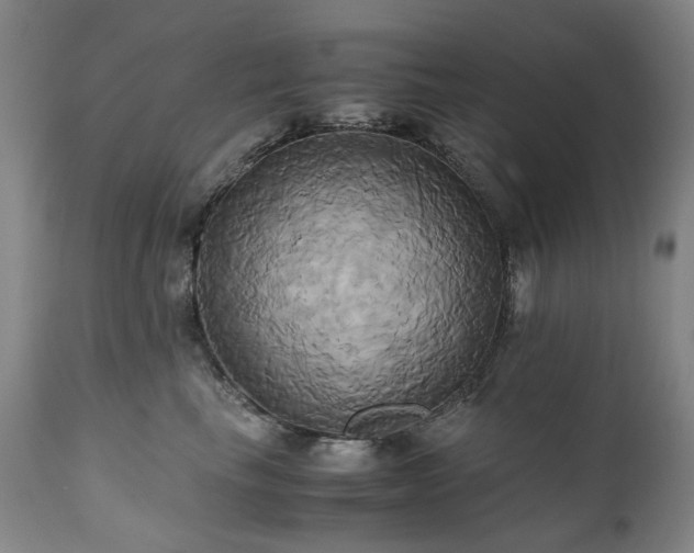 X0000110970665200906191336