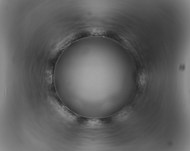 X0000110970666200906191336