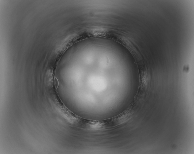 X0000110970667200906191336