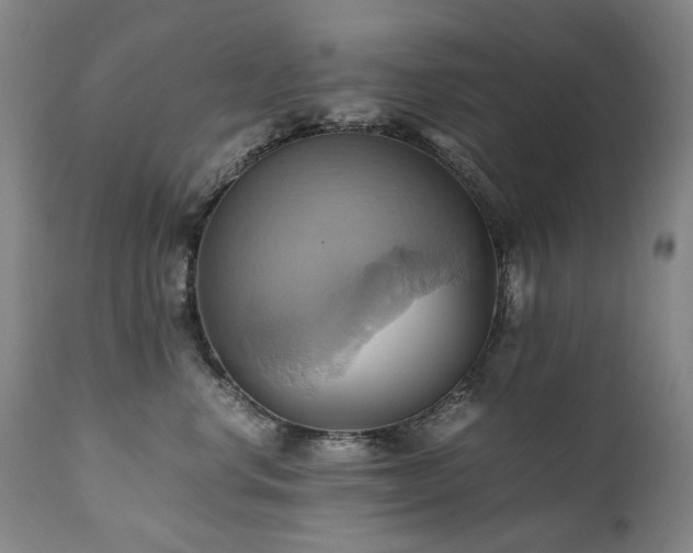 X0000110970668200906191336