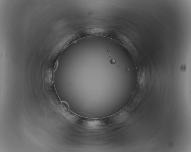 X0000110970669200906191336