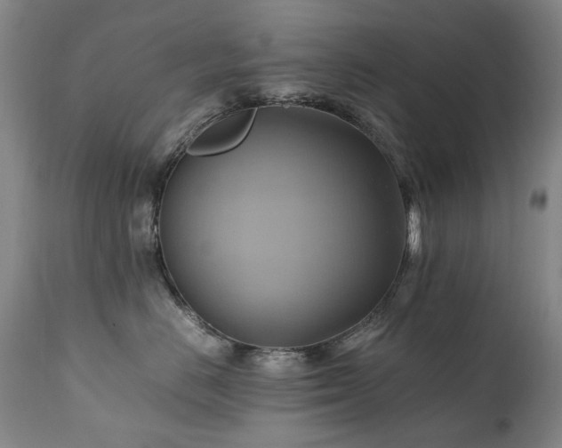 X0000110970670200906191336