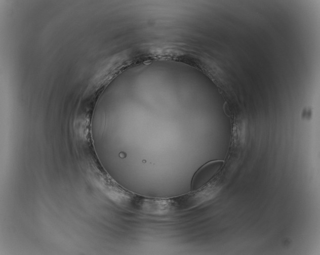 X0000110970671200906191336