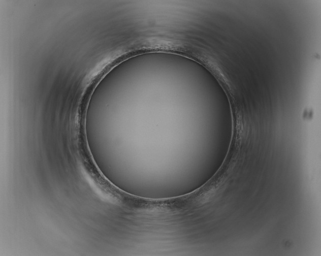 X0000110970674200906191336