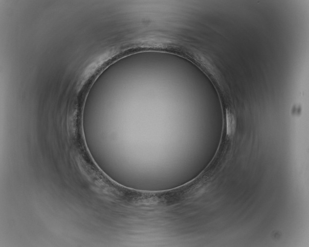 X0000110970675200906191336