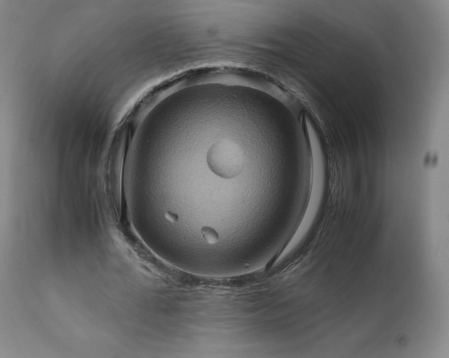 X0000110970676200906191336