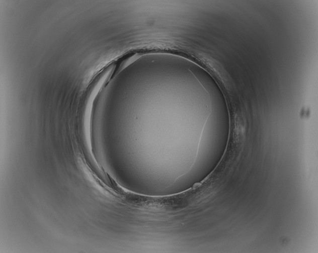 X0000110970677200906191336