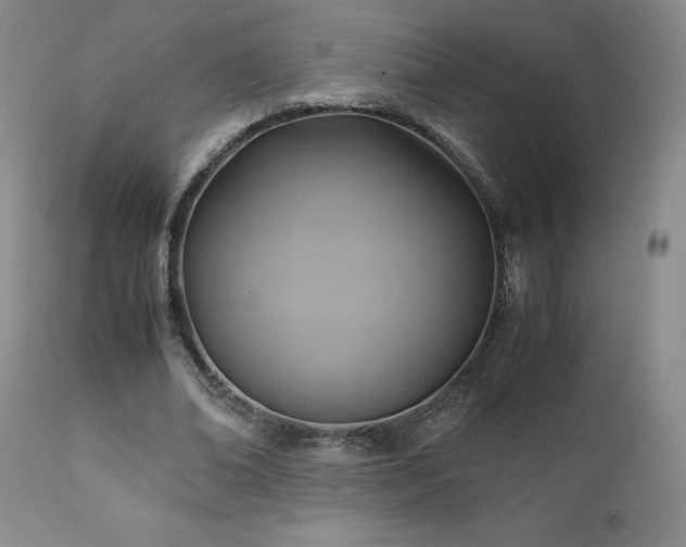 X0000110970678200906191336