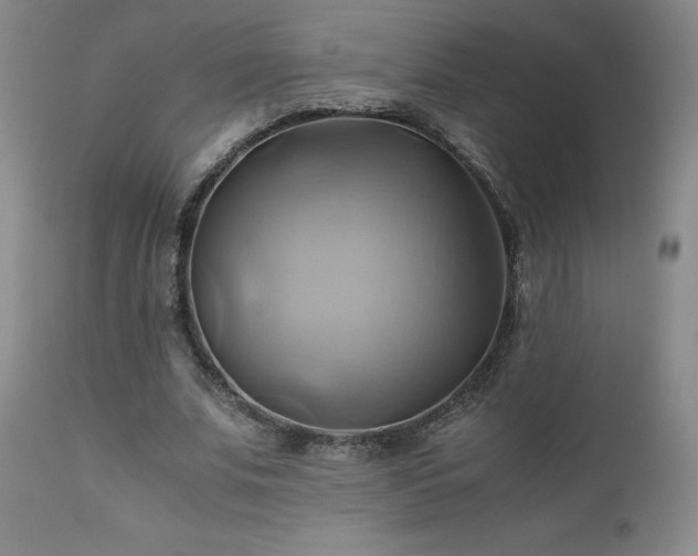 X0000110970679200906191336