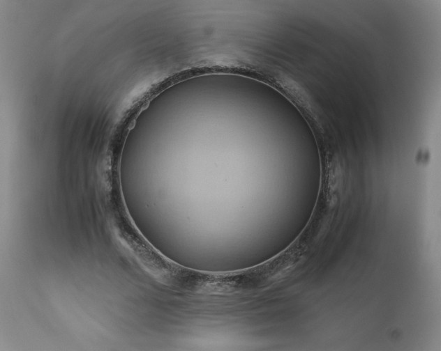 X0000110970680200906191336