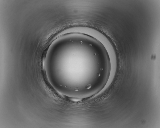 X0000110970681200906191336