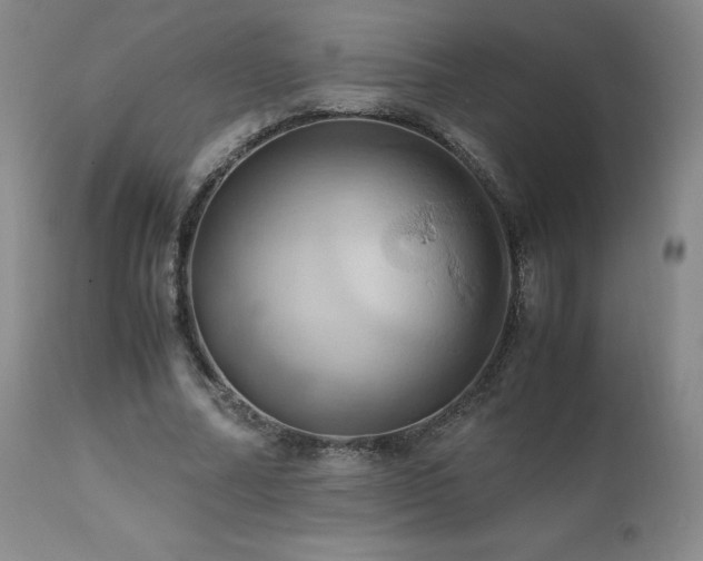 X0000110970682200906191336