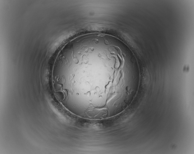 X0000110970683200906191336