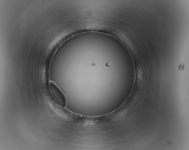 X0000110970684200906191336