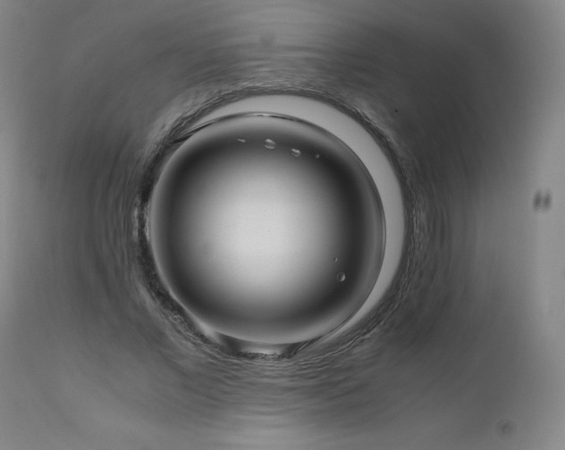 X0000110970685200906191336