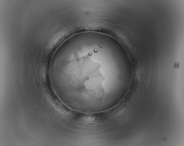 X0000110970687200906191336