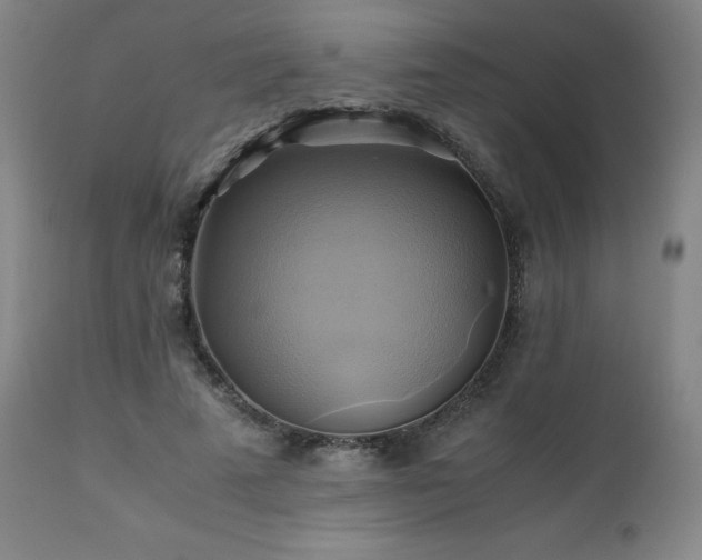 X0000110970689200906191336