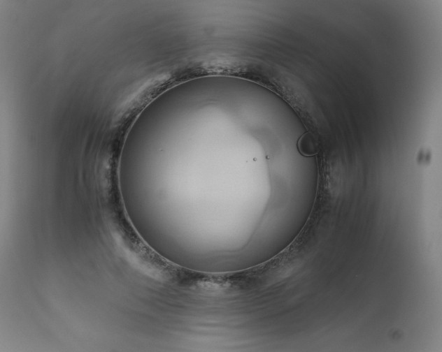 X0000110970690200906191336