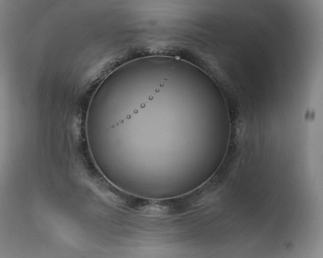 X0000110970691200906191336