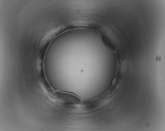 X0000110970692200906191336