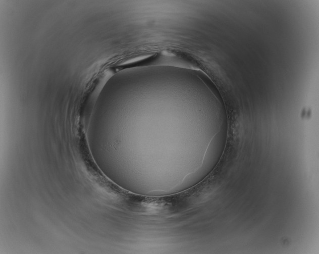 X0000110970693200906191336