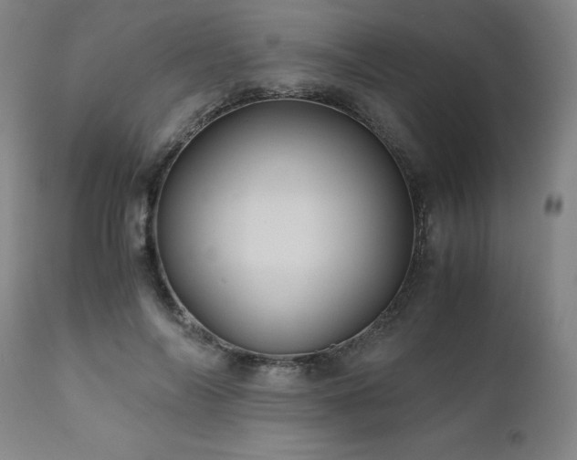 X0000110970694200906191336