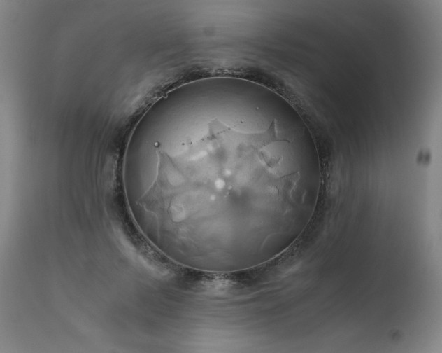 X0000110970695200906191336