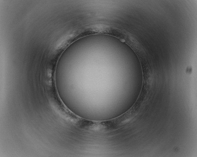 X0000110970696200906191336