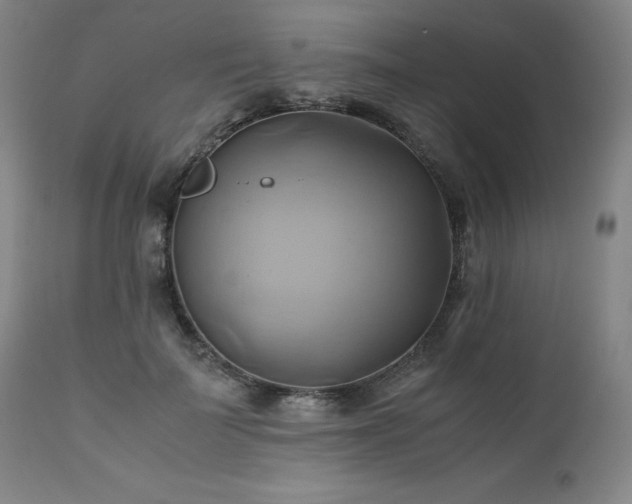 X0000110970699200906191335