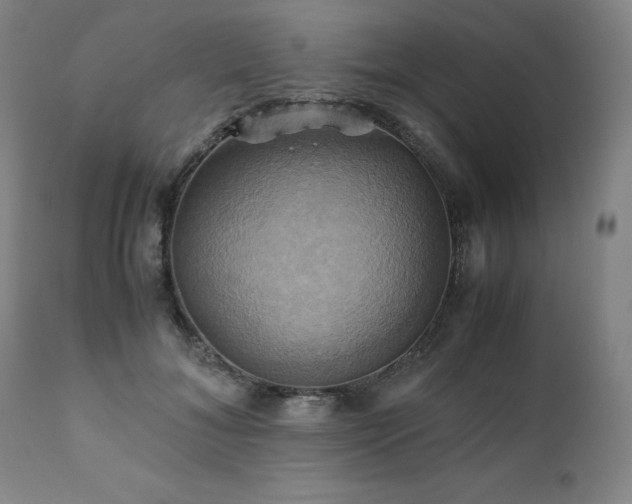 X0000110970700200906191335