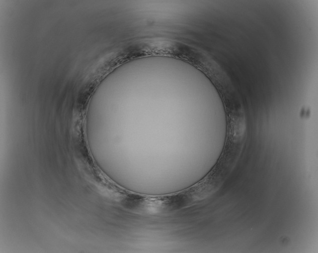 X0000110970701200906191335