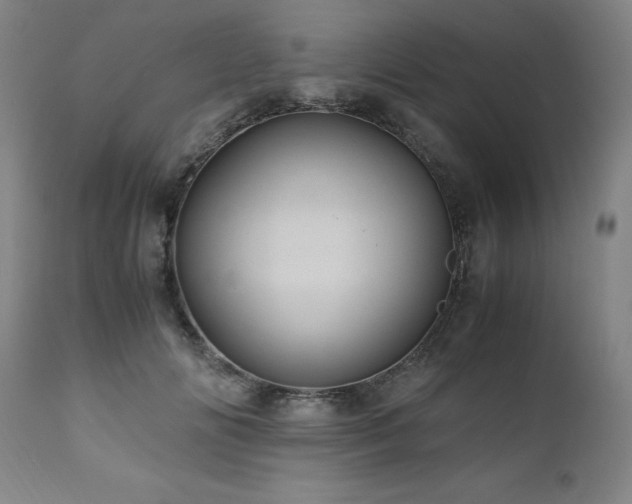 X0000110970702200906191335