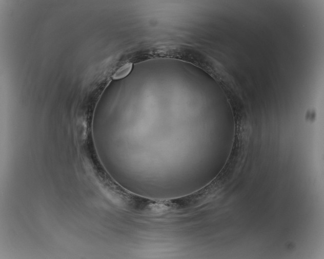 X0000110970703200906191335