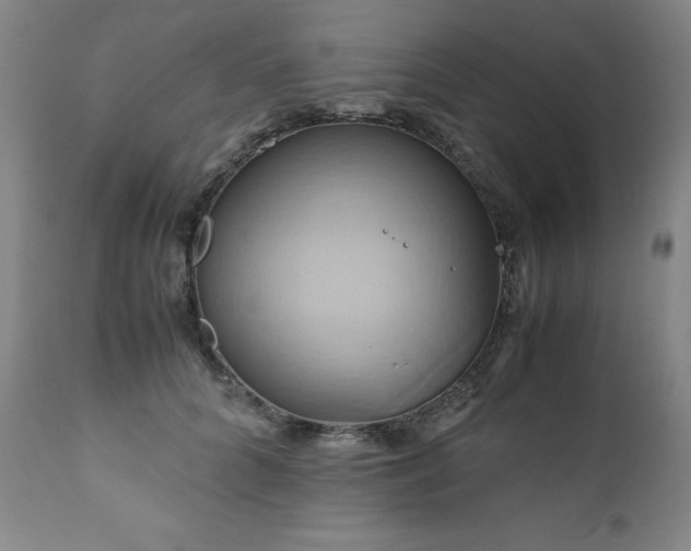 X0000110970704200906191335