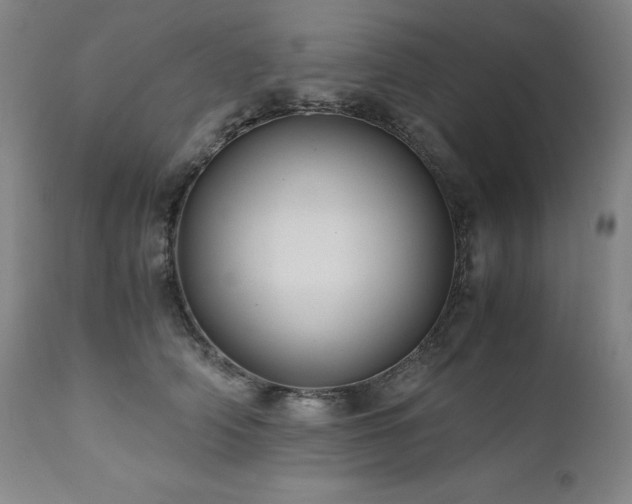 X0000110970706200906191335