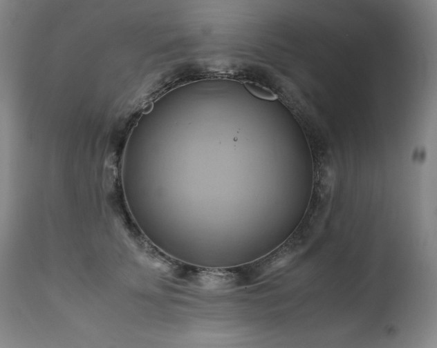 X0000110970707200906191335