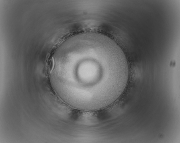 X0000110970709200906191335