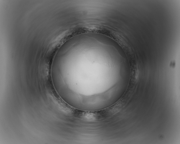 X0000110970710200906191335