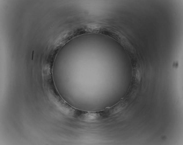 X0000110970711200906191335