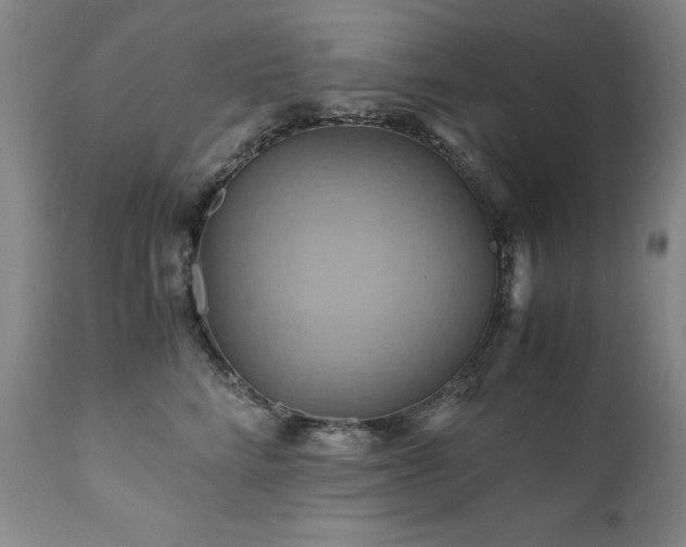 X0000110970712200906191335