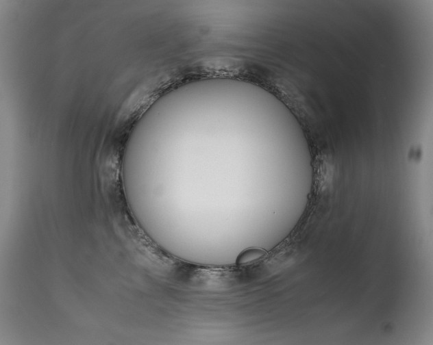 X0000110970713200906191335