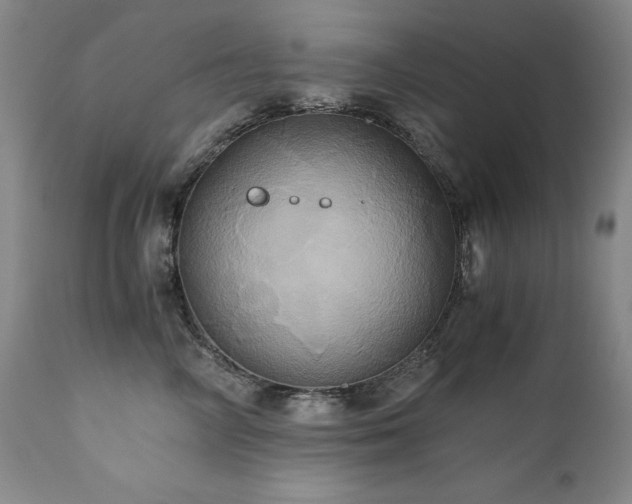 X0000110970714200906191335