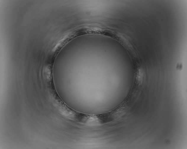 X0000110970715200906191335