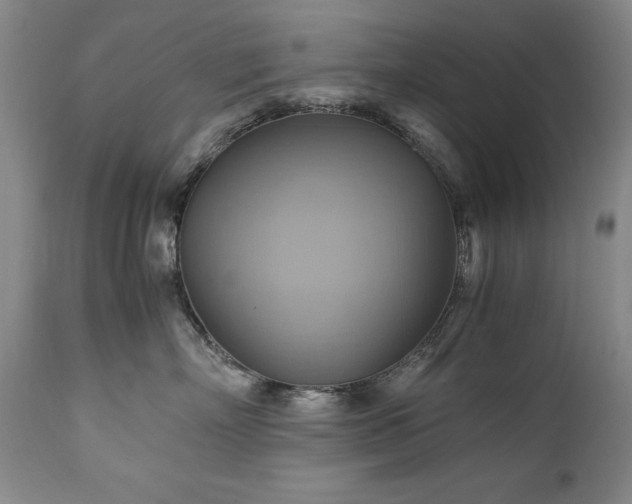 X0000110970718200906191335