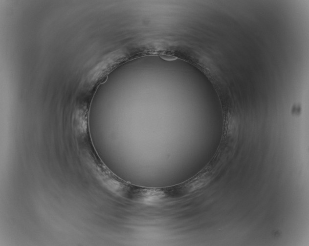 X0000110970719200906191335