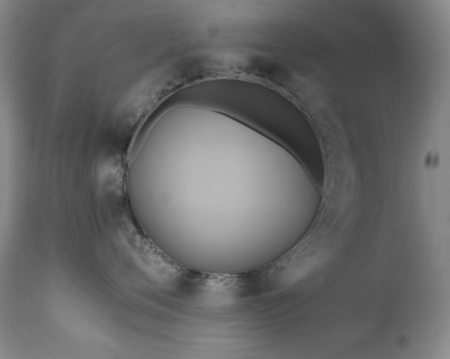 X0000110970720200906191335