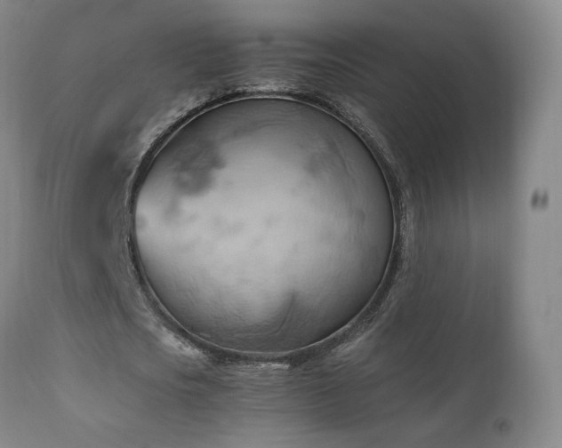 X0000110970721200906191335