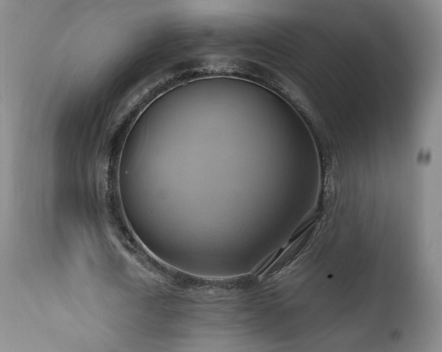 X0000110970722200906191335