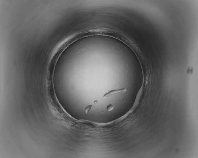 X0000110970724200906191335